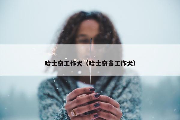 哈士奇工作犬（哈士奇当工作犬）