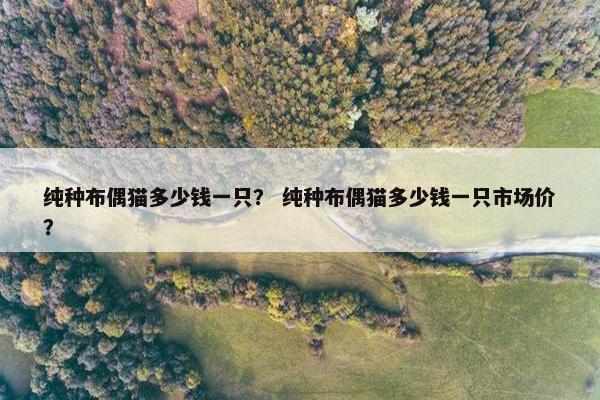 纯种布偶猫多少钱一只？ 纯种布偶猫多少钱一只市场价？