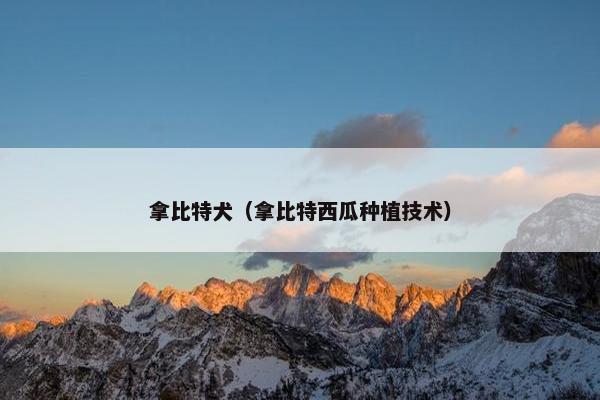拿比特犬（拿比特西瓜种植技术）