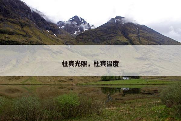 杜宾光照，杜宾温度