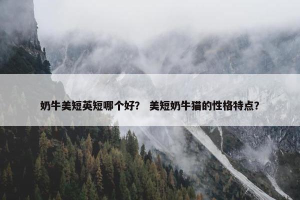 奶牛美短英短哪个好？ 美短奶牛猫的性格特点？