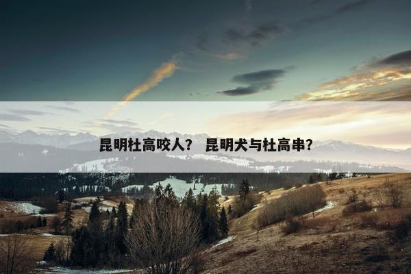 昆明杜高咬人？ 昆明犬与杜高串？