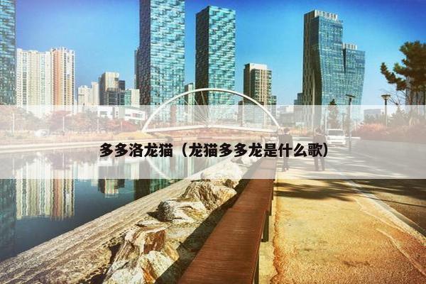 多多洛龙猫（龙猫多多龙是什么歌）