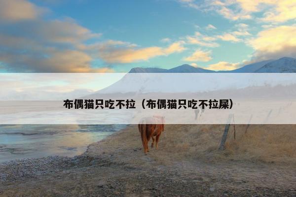 布偶猫只吃不拉（布偶猫只吃不拉屎）
