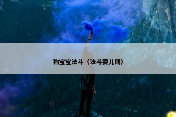 狗宝宝法斗（法斗婴儿期）