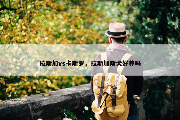 拉斯加vs卡斯罗，拉斯加斯犬好养吗