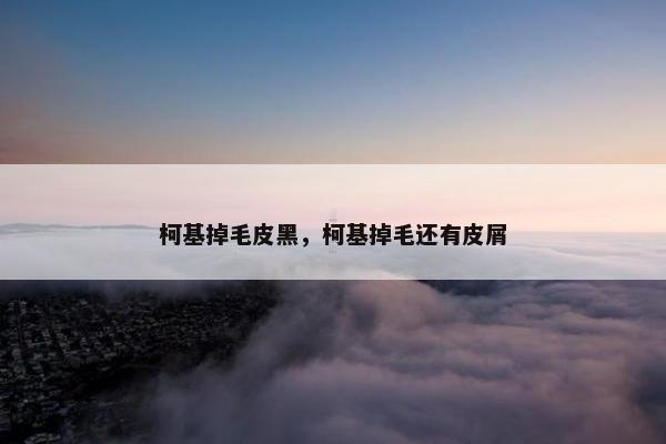 柯基掉毛皮黑，柯基掉毛还有皮屑