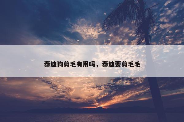 泰迪狗剪毛有用吗，泰迪要剪毛毛