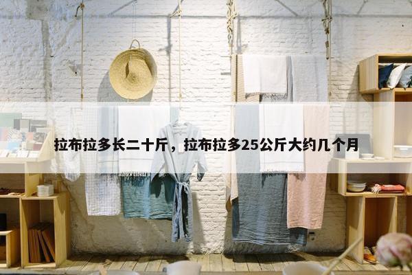 拉布拉多长二十斤，拉布拉多25公斤大约几个月