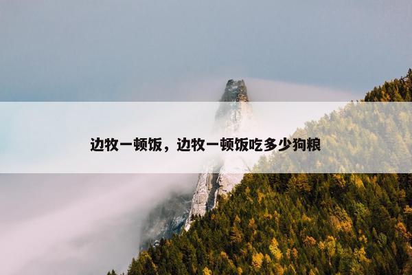 边牧一顿饭，边牧一顿饭吃多少狗粮