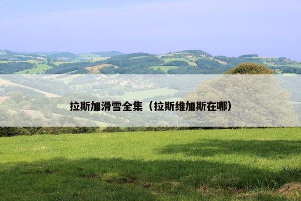 拉斯加滑雪全集（拉斯维加斯在哪）