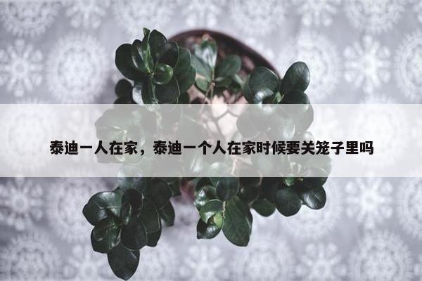 泰迪一人在家，泰迪一个人在家时候要关笼子里吗