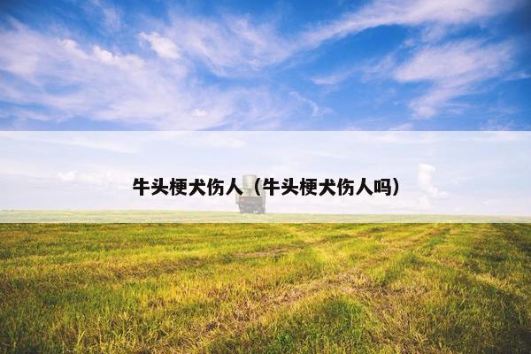 牛头梗犬伤人（牛头梗犬伤人吗）