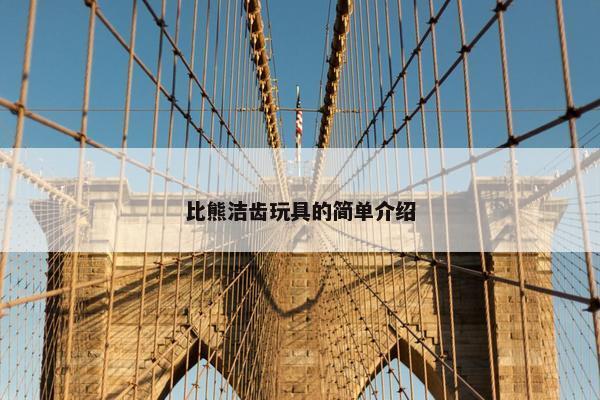 比熊洁齿玩具的简单介绍