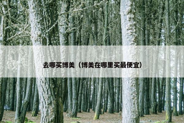 去哪买博美（博美在哪里买最便宜）