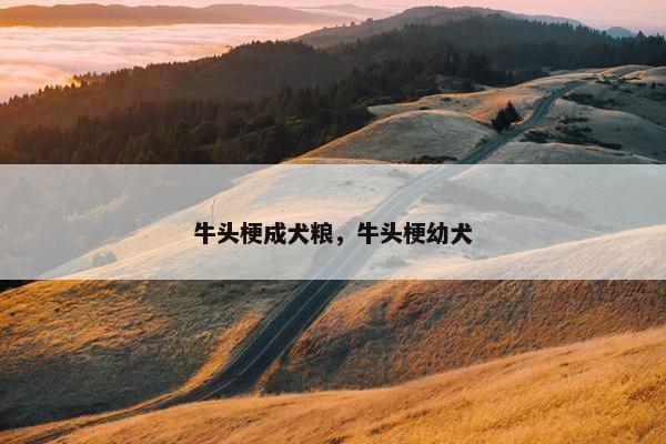 牛头梗成犬粮，牛头梗幼犬