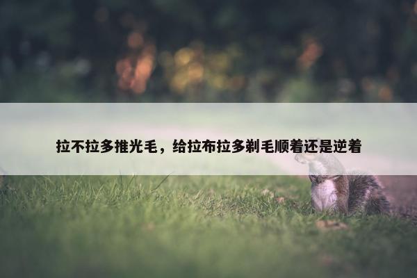 拉不拉多推光毛，给拉布拉多剃毛顺着还是逆着