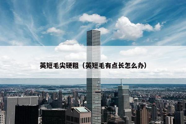 英短毛尖硬粗（英短毛有点长怎么办）