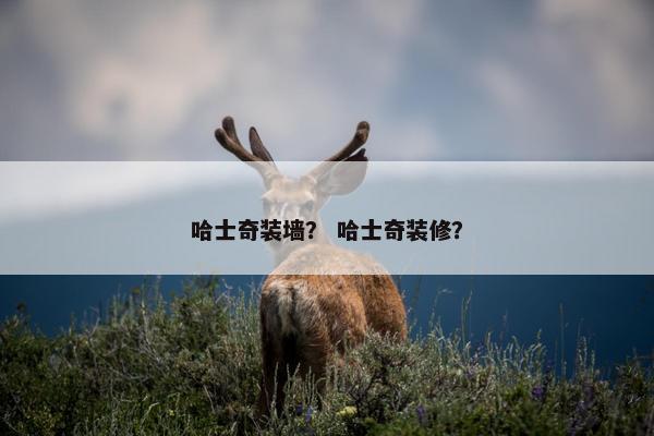 哈士奇装墙？ 哈士奇装修？