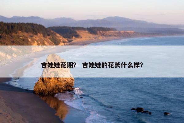 吉娃娃花期？ 吉娃娃的花长什么样？