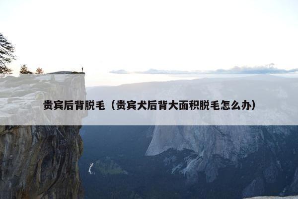 贵宾后背脱毛（贵宾犬后背大面积脱毛怎么办）