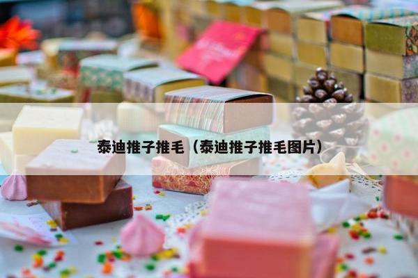 泰迪推子推毛（泰迪推子推毛图片）