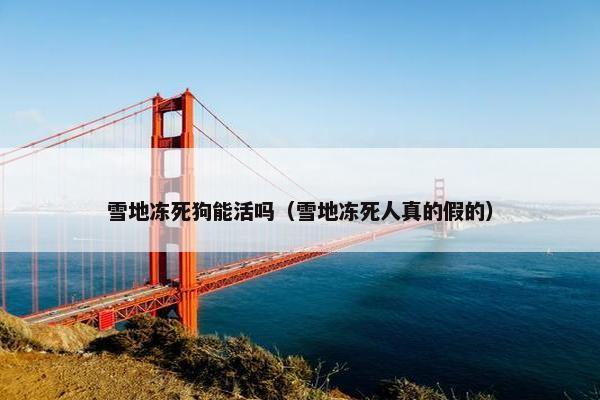 雪地冻死狗能活吗（雪地冻死人真的假的）
