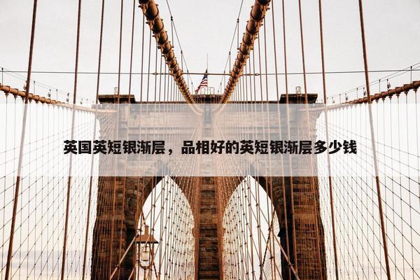 英国英短银渐层，品相好的英短银渐层多少钱