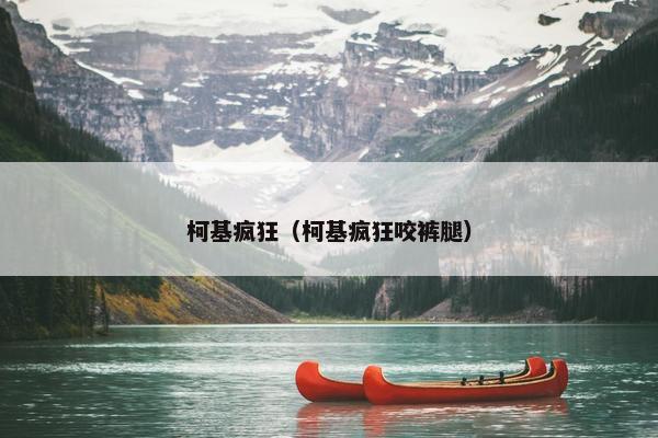 柯基疯狂（柯基疯狂咬裤腿）