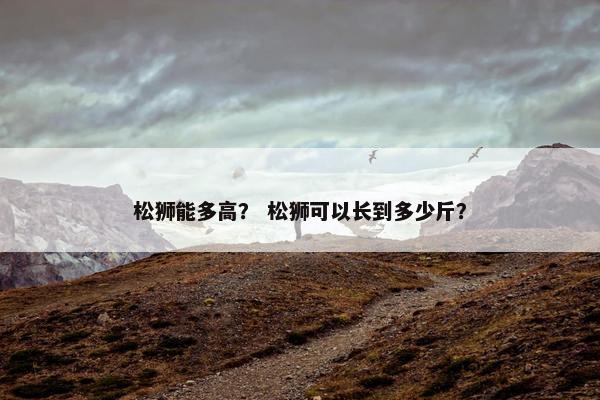 松狮能多高？ 松狮可以长到多少斤？