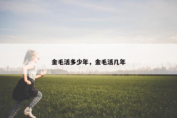 金毛活多少年，金毛活几年