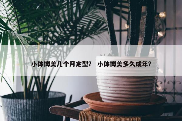 小体博美几个月定型？ 小体博美多久成年？