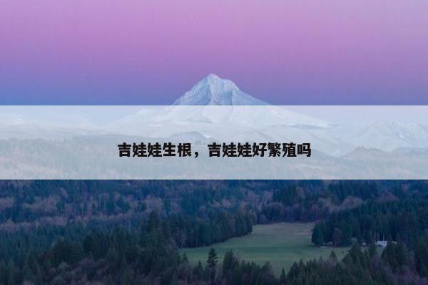吉娃娃生根，吉娃娃好繁殖吗