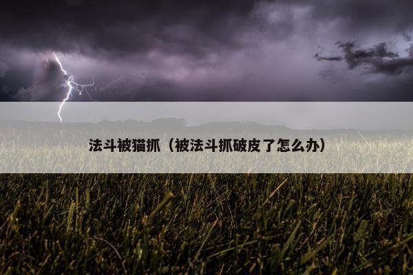 法斗被猫抓（被法斗抓破皮了怎么办）
