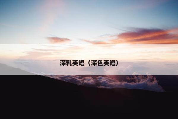 深乳英短（深色英短）