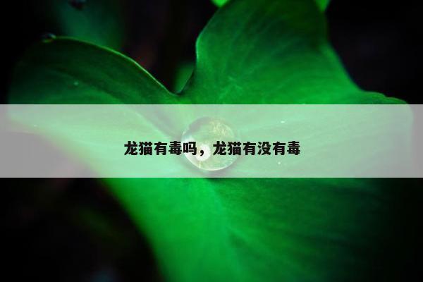龙猫有毒吗，龙猫有没有毒
