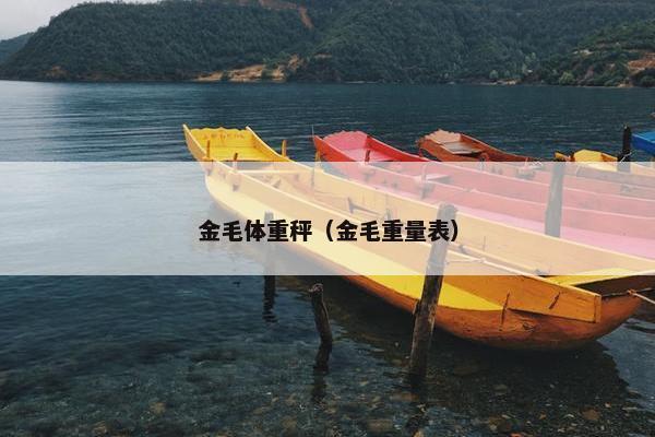 金毛体重秤（金毛重量表）