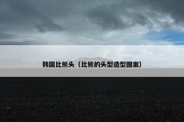 韩国比熊头（比熊的头型造型图案）
