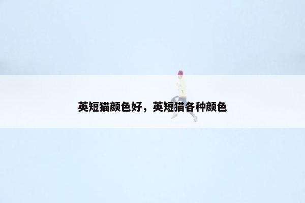 英短猫颜色好，英短猫各种颜色