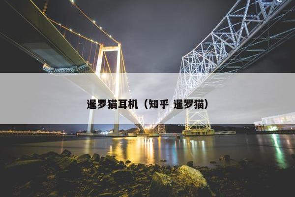 暹罗猫耳机（知乎 暹罗猫）