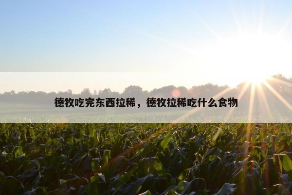 德牧吃完东西拉稀，德牧拉稀吃什么食物