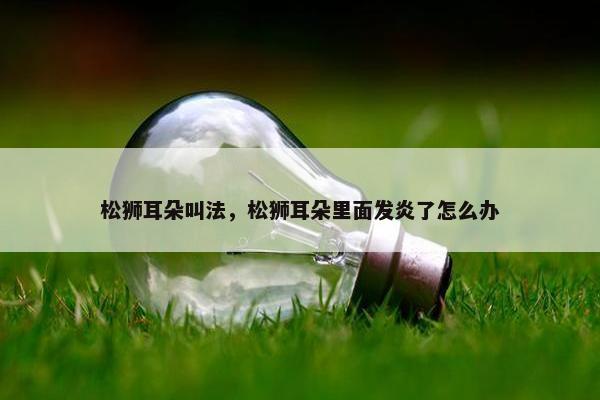 松狮耳朵叫法，松狮耳朵里面发炎了怎么办