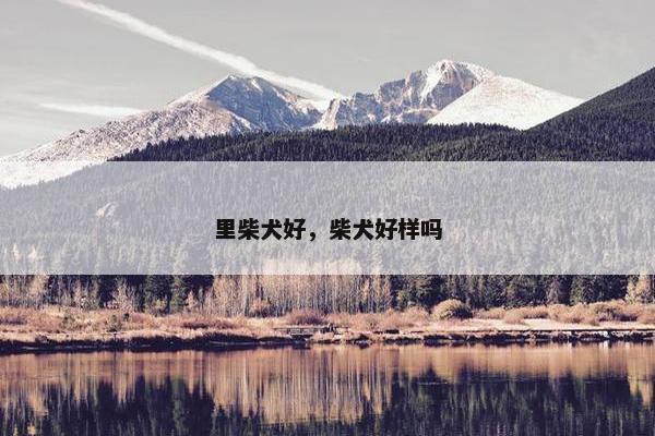 里柴犬好，柴犬好样吗