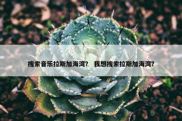 搜索音乐拉斯加海湾？ 我想搜索拉斯加海湾？