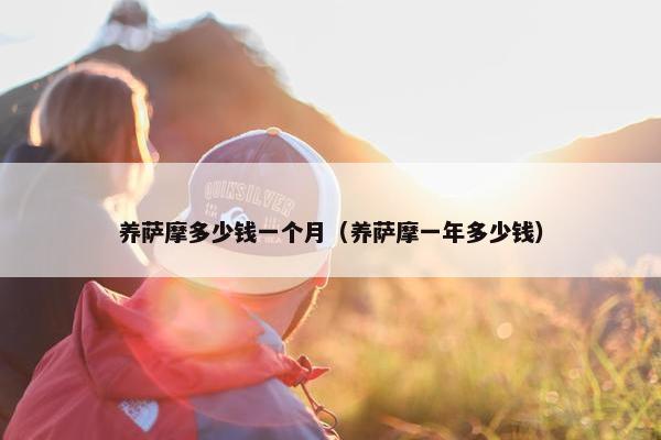 养萨摩多少钱一个月（养萨摩一年多少钱）