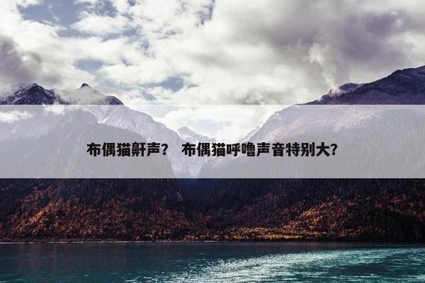 布偶猫鼾声？ 布偶猫呼噜声音特别大？