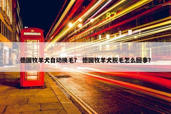 德国牧羊犬自动换毛？ 德国牧羊犬脱毛怎么回事？