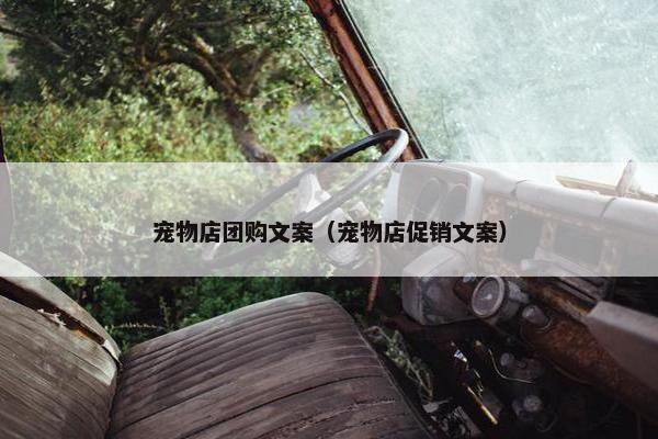 宠物店团购文案（宠物店促销文案）