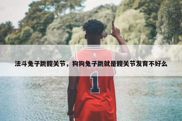 法斗兔子跳髋关节，狗狗兔子跳就是髋关节发育不好么