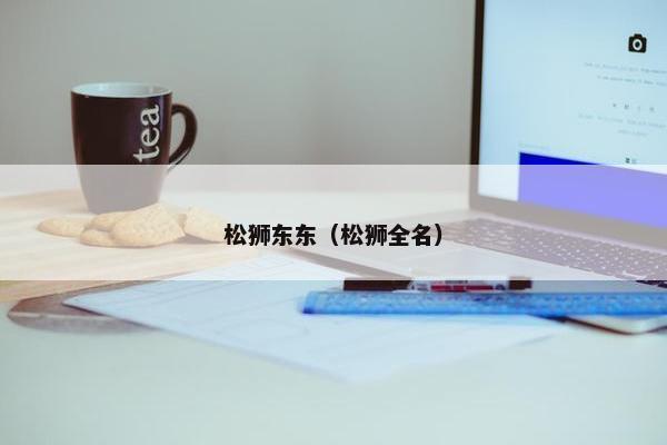 松狮东东（松狮全名）
